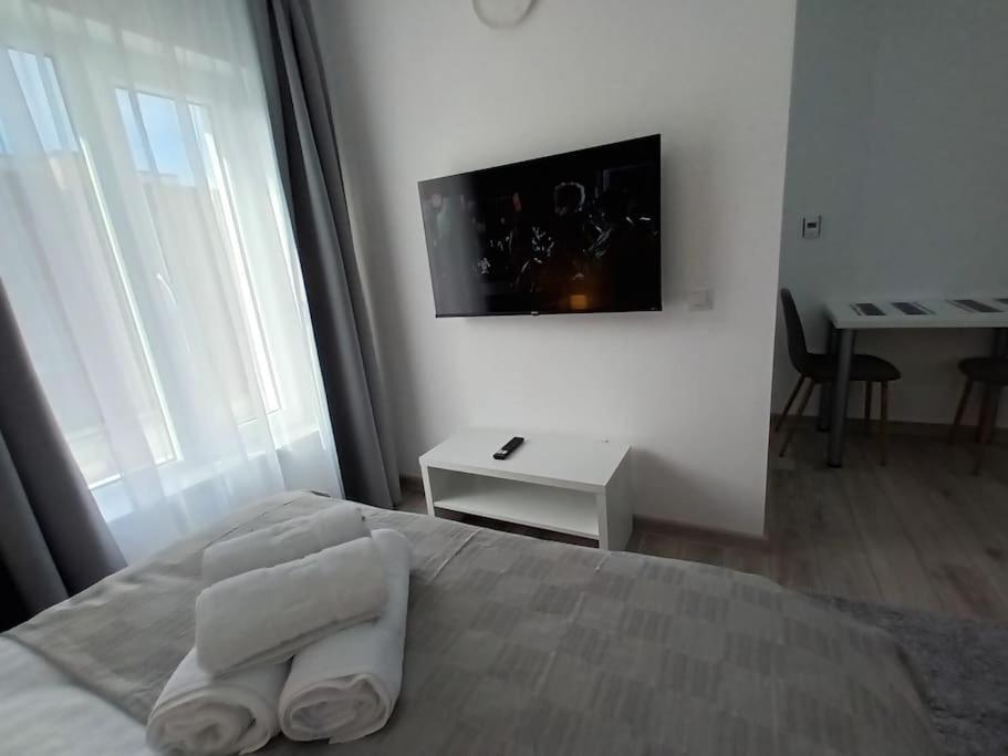 Old Town Studio 1 Apartment Nr 4 Baia Mare Buitenkant foto