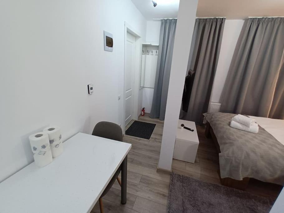 Old Town Studio 1 Apartment Nr 4 Baia Mare Buitenkant foto
