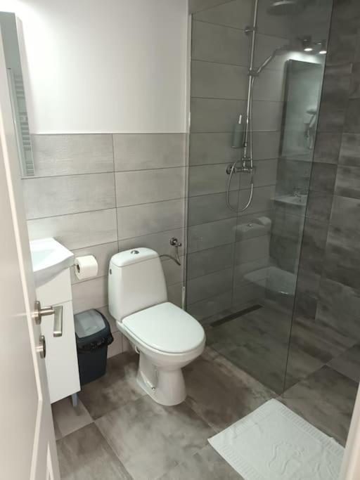 Old Town Studio 1 Apartment Nr 4 Baia Mare Buitenkant foto