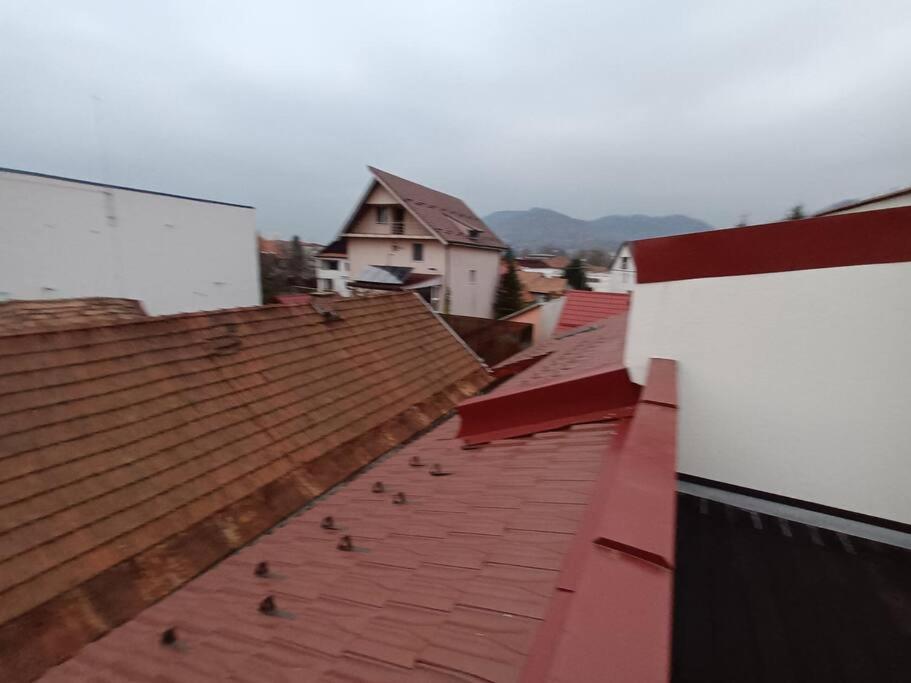 Old Town Studio 1 Apartment Nr 4 Baia Mare Buitenkant foto