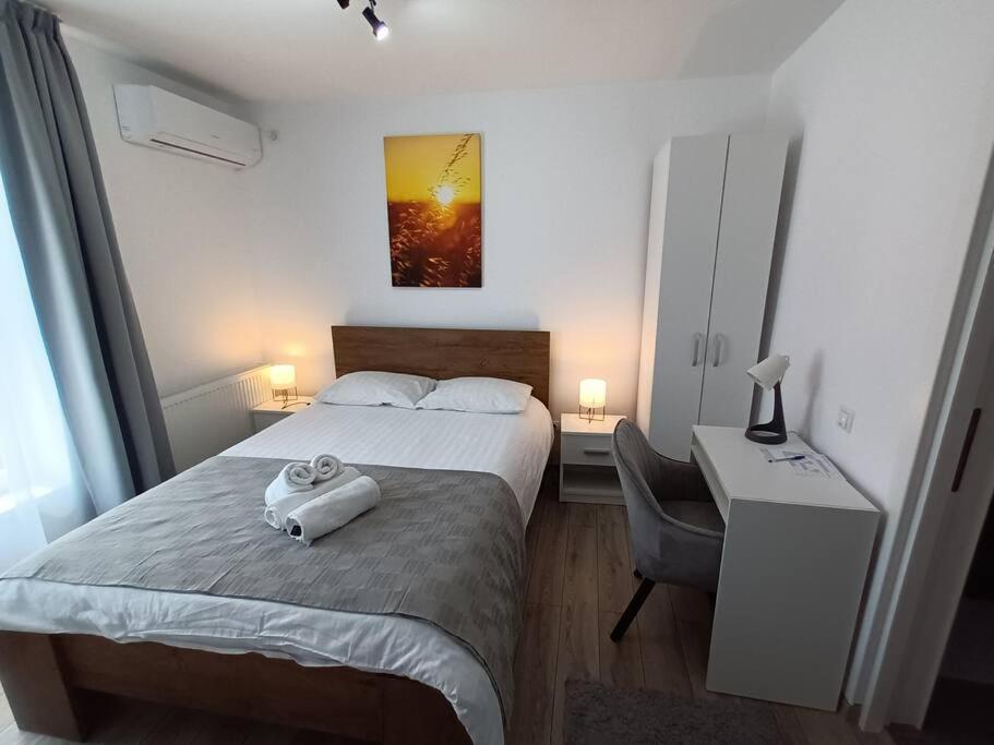 Old Town Studio 1 Apartment Nr 4 Baia Mare Buitenkant foto
