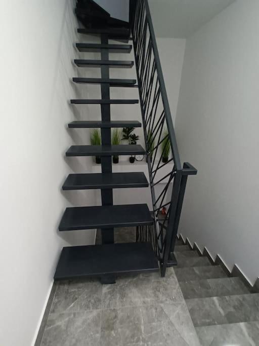 Old Town Studio 1 Apartment Nr 4 Baia Mare Buitenkant foto