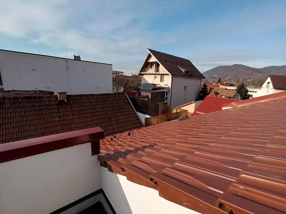 Old Town Studio 1 Apartment Nr 4 Baia Mare Buitenkant foto