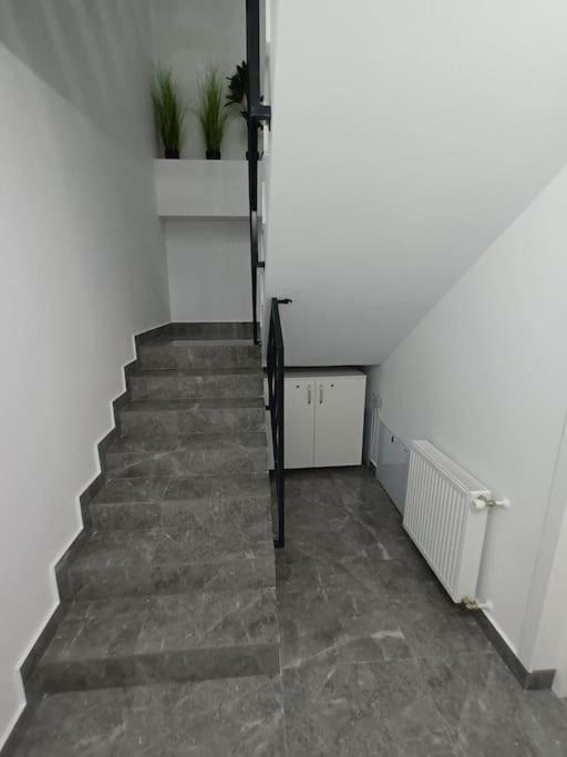 Old Town Studio 1 Apartment Nr 4 Baia Mare Buitenkant foto